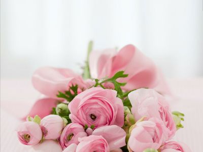 Maria & Philip 4